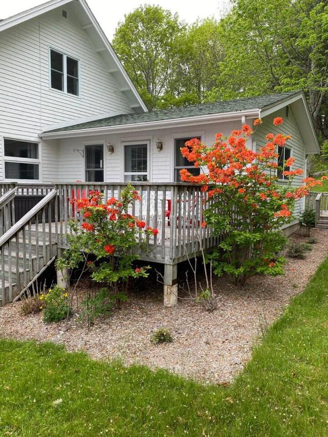 Sea La Vie Lejlighed Mahone Bay Eksteriør billede